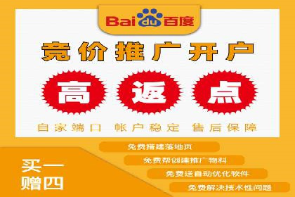 某电商平台的SEM优化托管实践与效果评估